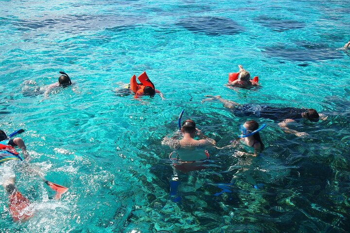 snorkeling at the Coral Gardens